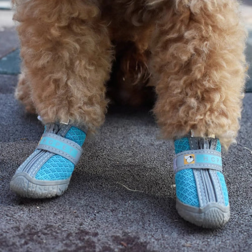 Designed for Every Step